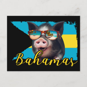 Bahamas Zwijn die Zwemmen - Exuma Varkensstrand Av Briefkaart