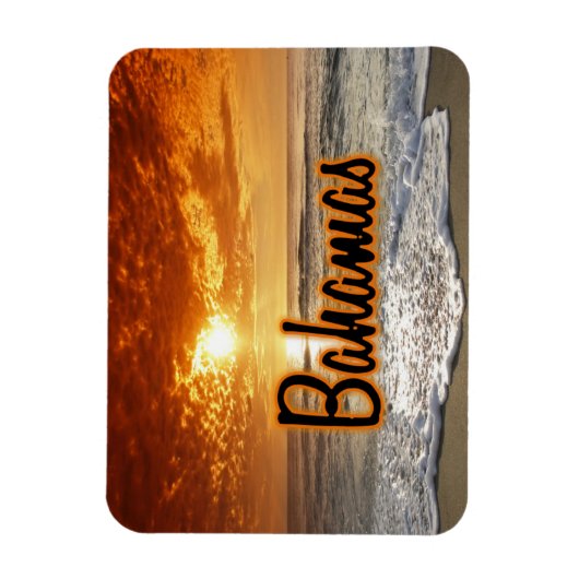 Bahamasschildpad Magneet (Verticaal)