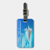 Bahamasvliegtuig Bagagelabel (Voorkant verticaal)
