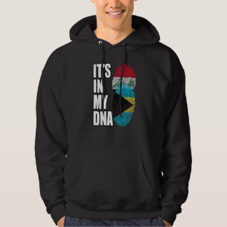 Bahamian And Iraqi Mix DNA Flag Heritage Hoodie