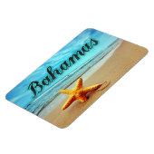 Bahamszeester Magneet (Linkerzijde)