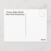 Bahia Honda State Park Keys Briefkaart (Achterkant)