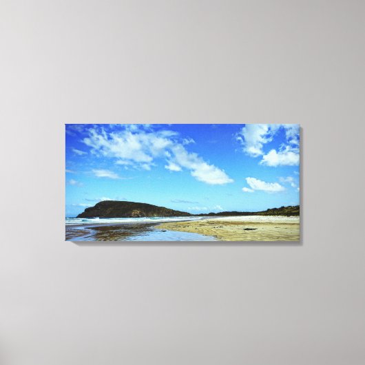 Baie Cannibal, Catlins : Toile de la Nouvelle-Zéla (Recto)