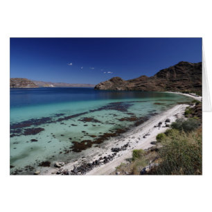 Baie de conception de Baja