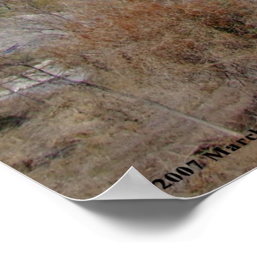 Baie de Zihuatanejo - Poster (Coin)