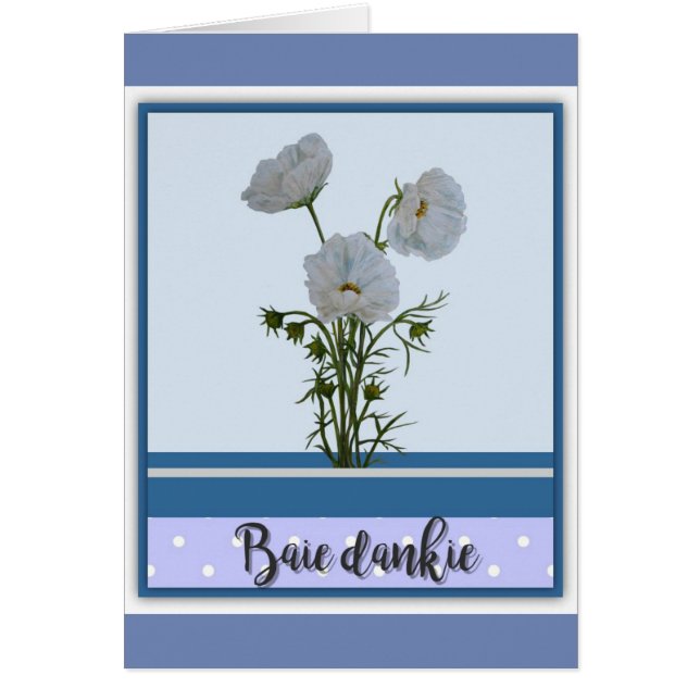 Baie domie (Voorkant)