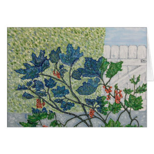 Baies de groseille rouge