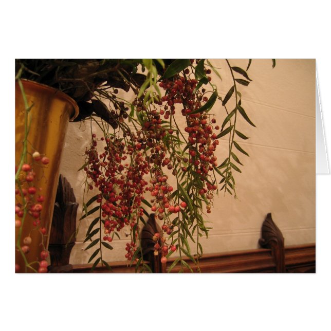 Baies de poivre (Devant horizontal)