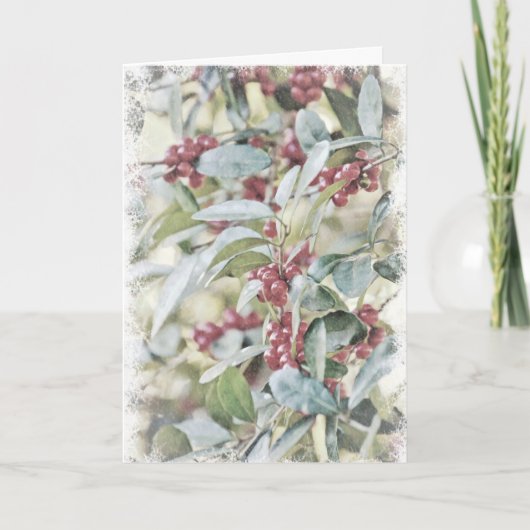 Baies Holly Froid En Carte De Noël Neige (Devant)