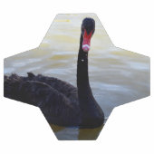 Baignade De Cygne Noir Sur La Rivière, (Plat)
