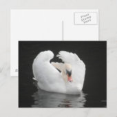 Baignade par carte postale (Devant / Derrière)