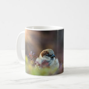 Baignade soleil Finch café Mug