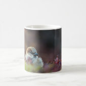 Baignade soleil Finch café Mug (Centre)