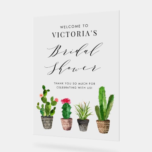 Baigneurs de succulents et de cactus en pot pour l (Angle)