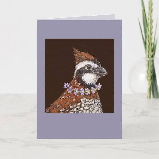 Bailey la carte bobwhite (Devant)