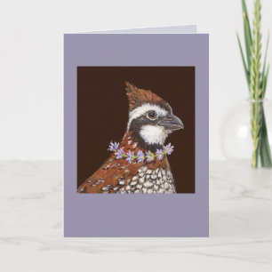Bailey la carte bobwhite