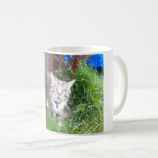 Bailey la tasse de chat (Devant droit)