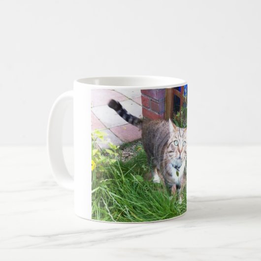 Bailey la tasse de chat (Devant gauche)