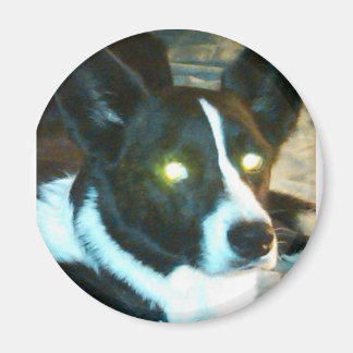 Bailey Magneet