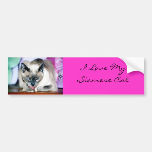 Bain 4 Harmonie/J'Aime Mon Sticker Siamese Bumper (Devant)