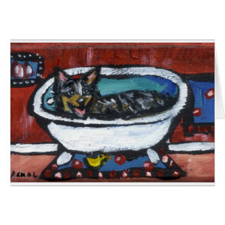 Bain australien de chien de bétail