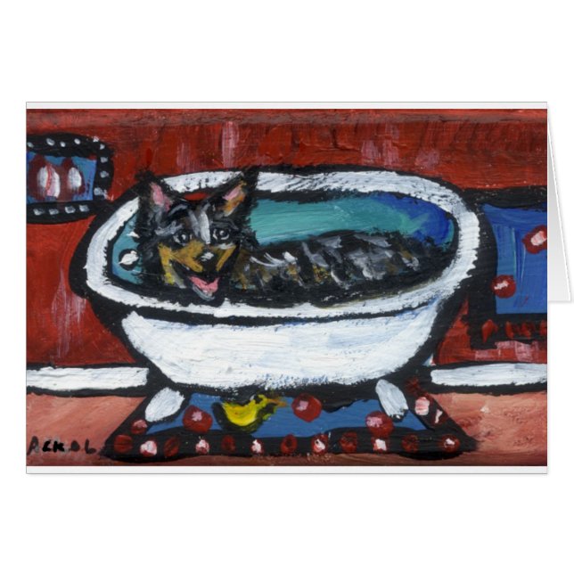 Bain australien de chien de bétail (Devant horizontal)