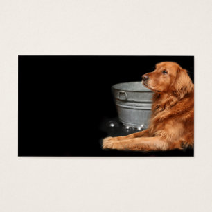 Bain de chien