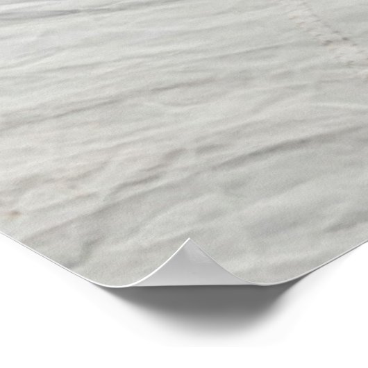 Bainbridge Island Wooden Boat Festival 3 Poster (Hoek)