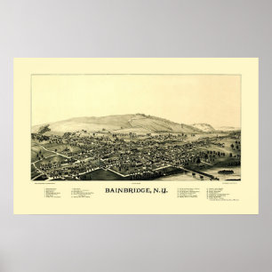 Bainbridge, NY Panoramic Map - 1889 Poster