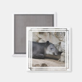 Baird's Tapir Magnet Magneet (Voorkant / Achterkant)
