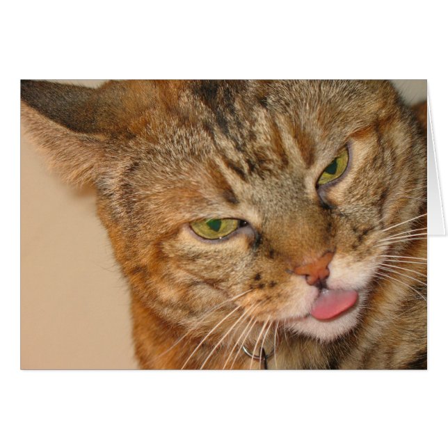 baiser de chatte (Devant horizontal)