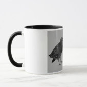Baisers de la tasse de cadeau de pigeons (Gauche)