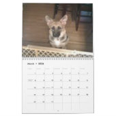 Baja/Hercules Kalender (Mar 2026)