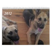 Baja/Hercules Kalender (Hoes)