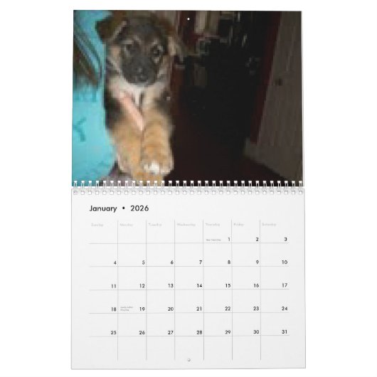 Baja/Hercules Kalender (Jan 2026)