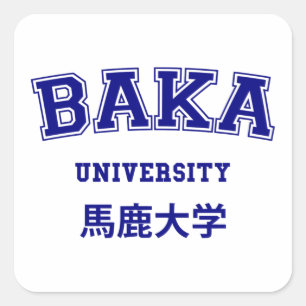 BAKA UNIVERSITEIT VIERKANTE STICKER