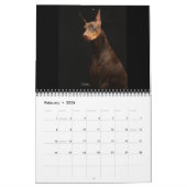 Bakari Dobermans 2008 Kalender (Feb 2026)