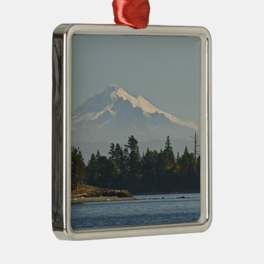 Baker domineert landschap metalen ornament (Rechts)