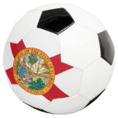 Bal de football patriotique avec drapeau de Florid (3/4)