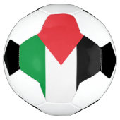 Bal de football patriotique avec drapeau palestini (Tourné)