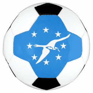 Bal de soccer patriotique avec drapeau du Corpus C