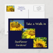 Balade dans les jardins de tournesol Cartes de pos (Devant / Derrière)