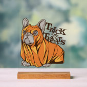 Balais Halloween (Neutre)