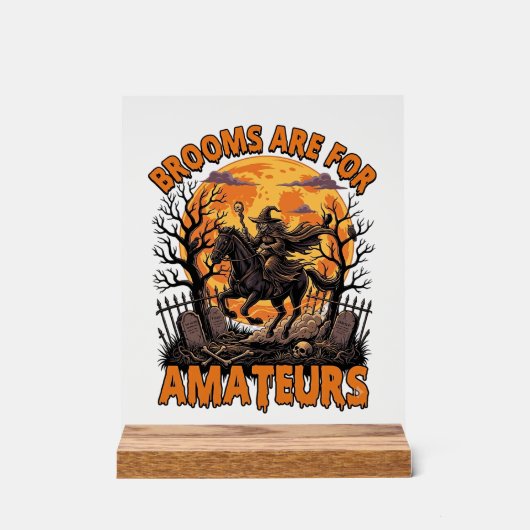 Balais Sont Des Amateurs Halloween Sorcière Cheval (Recto)