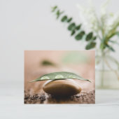 Balance carte postale (Debout devant)