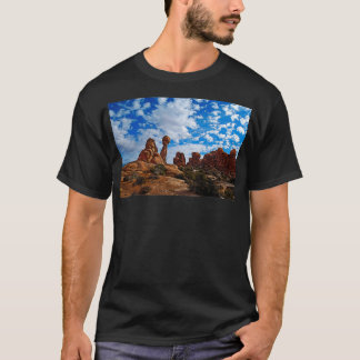 Balanced Rock Arches National Park T-shirt