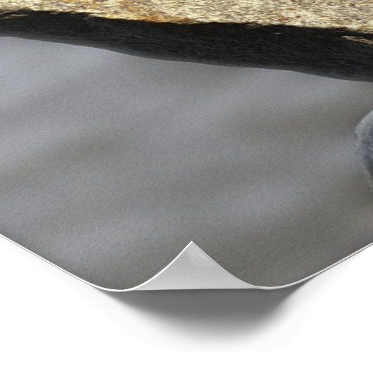 Balanced Rocks Poster (Hoek)