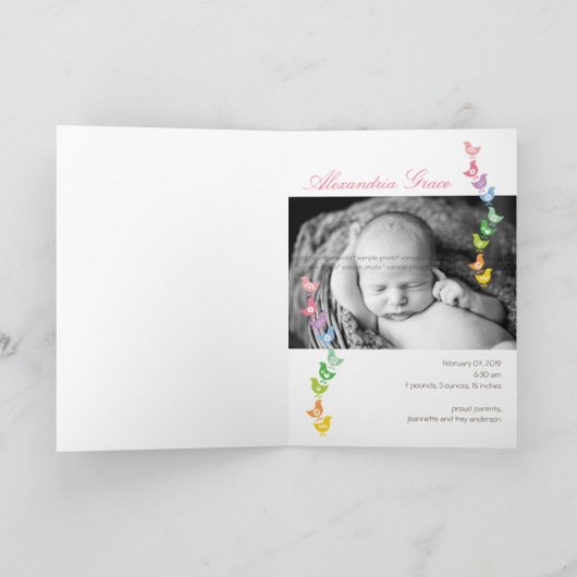 Balancerende Rainbow Chicks Baby Announcement Kaar Aankondiging (Binnen)