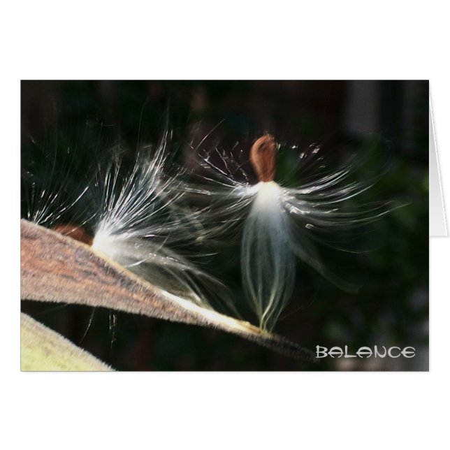 Balans (Voorkant Horizontaal)