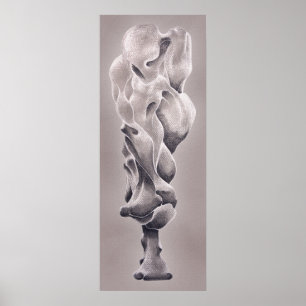 Balans Poster
